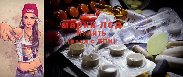 индика Богородск