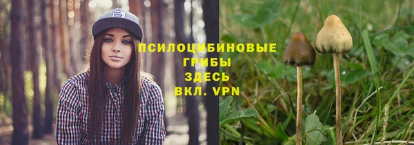MESCALINE Арсеньев