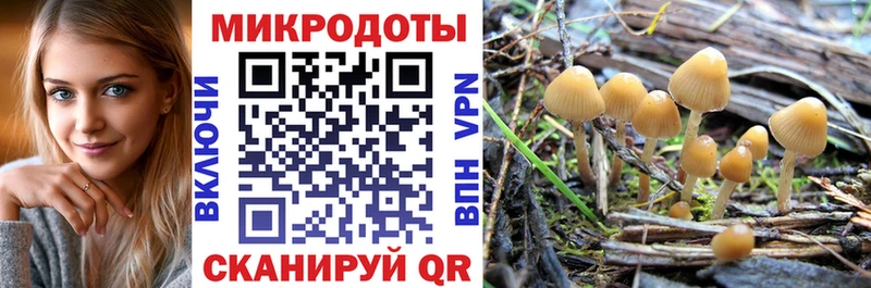 Галлюциногенные грибы Cubensis  Боровск 